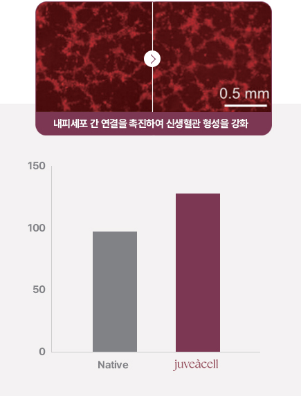 땡큐피부과 쥬브아셀