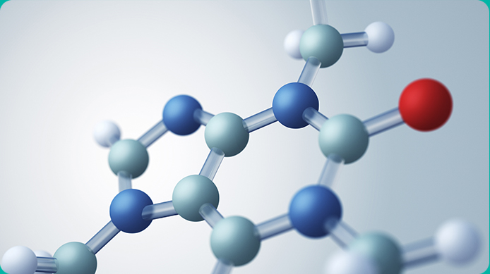 메타셀 MCT 핵심 포인트